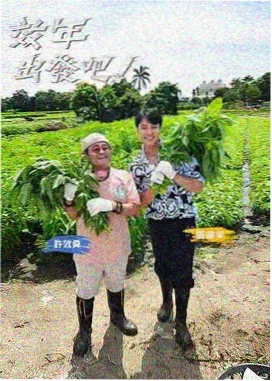 深夜食堂盲盒 综艺封面